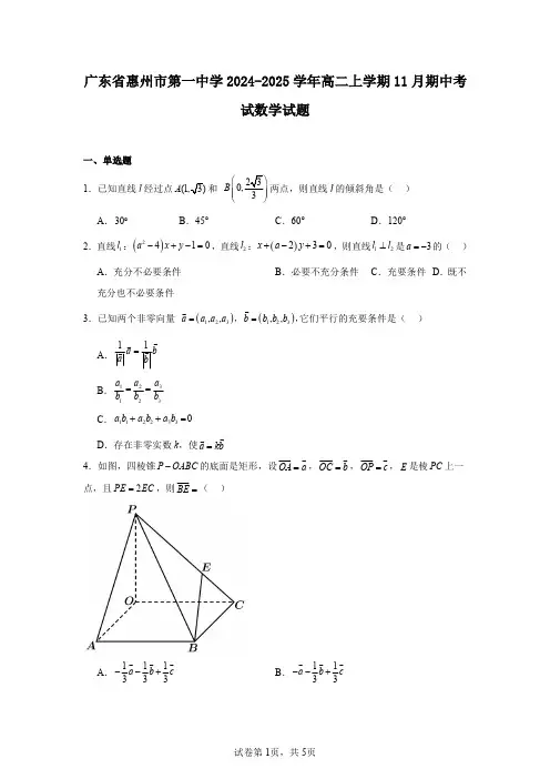 广东省惠州市第一中学2024-2025学年高二上学期11月期中考试数学试题