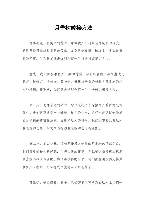 月季树嫁接方法