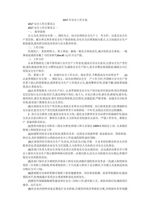 2017年安全工作计划