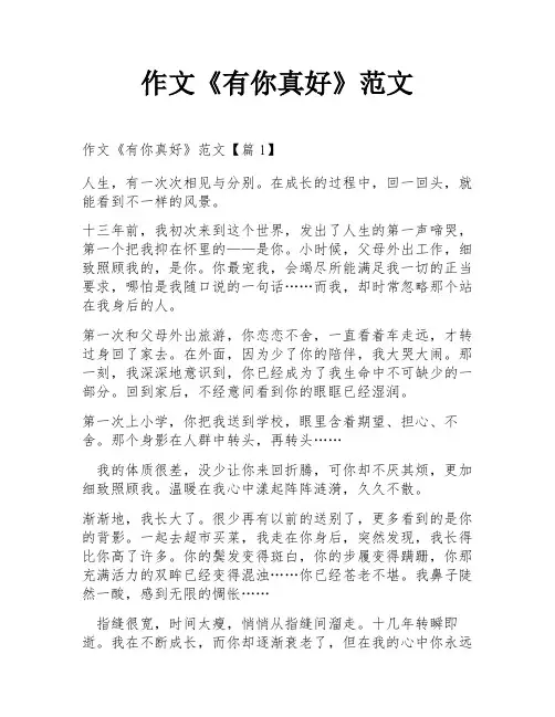 作文《有你真好》范文