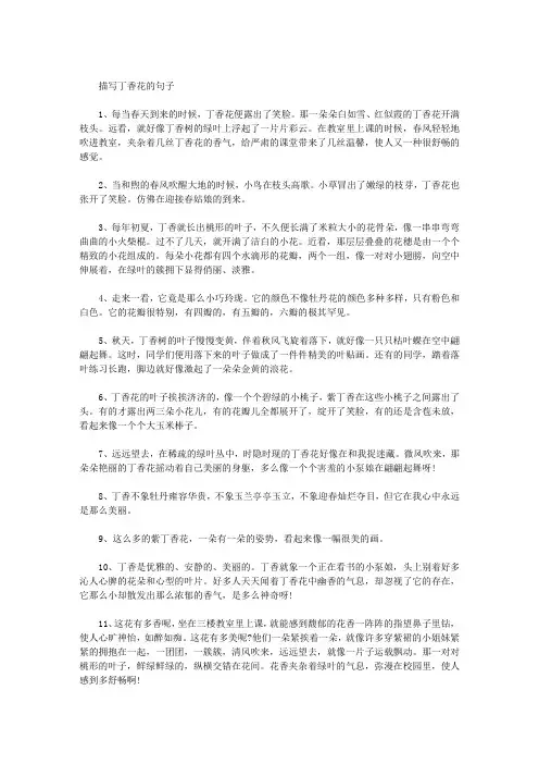 描写丁香花的句子