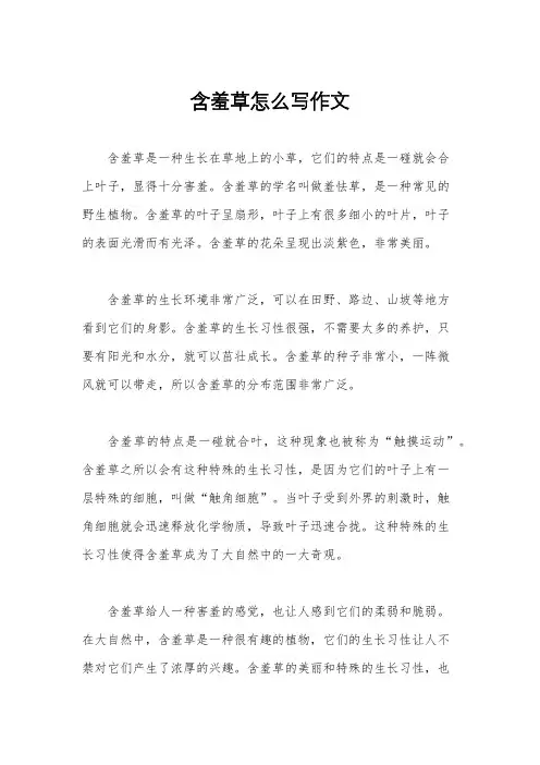含羞草怎么写作文