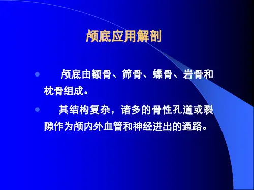 颅底应用解剖