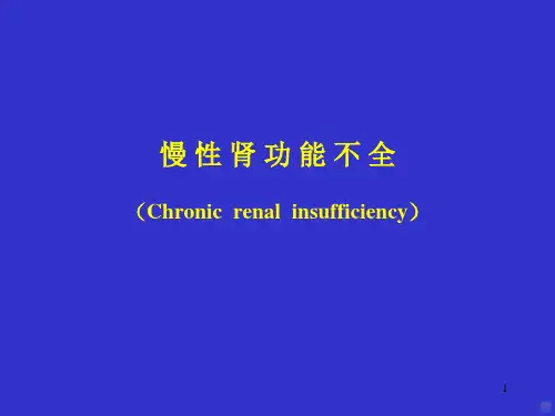 慢性肾功能不全PPT课件
