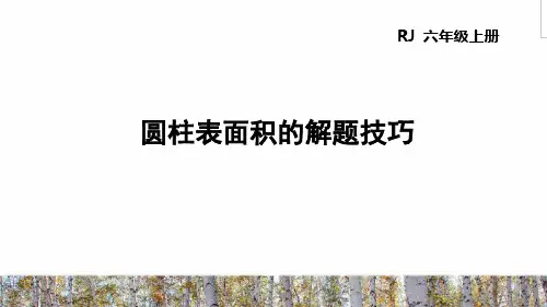 人教部编版六年级数学下册《圆柱表面积的解题技巧》PPT