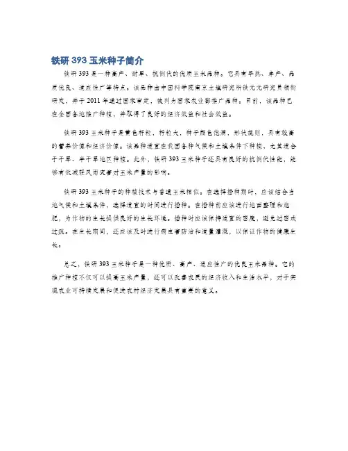 铁研393玉米种子简介