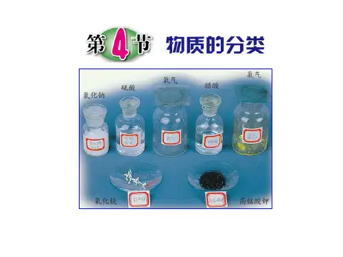 2.4物质的分类浙教版九年级科学上册课件