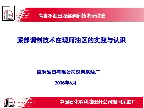 深部调剖技术在现河油区实践与认识(研讨会)