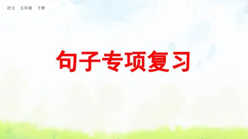 五年级语文下册《句子专项复习》课件