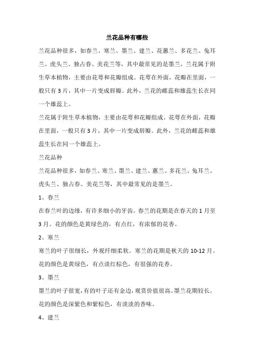 兰花品种有哪些