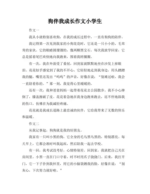 狗伴我成长作文小学生