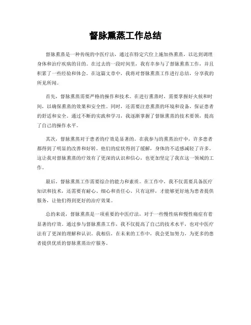 督脉熏蒸工作总结
