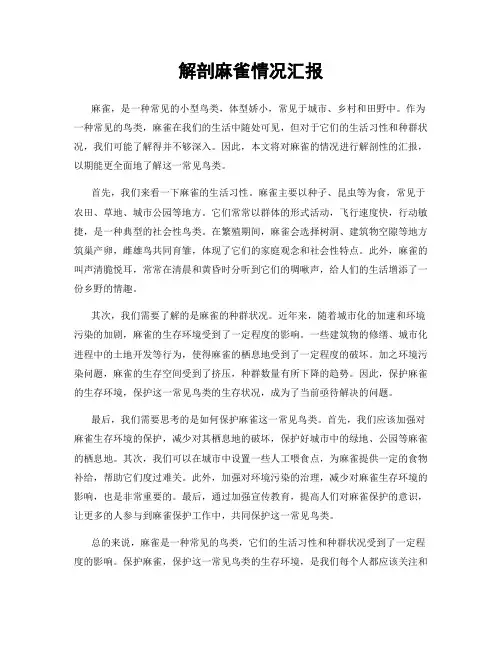 解剖麻雀情况汇报