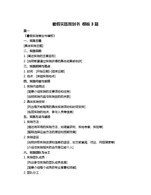 暑假实践策划书  模板3篇