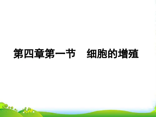 高中生物 细胞的增殖 课件浙科必修1