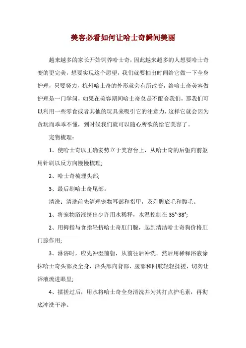美容必看 如何让哈士奇瞬间美丽