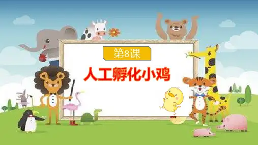 人工孵化小鸡 课件 鲁教版初中劳动技术八年级上册