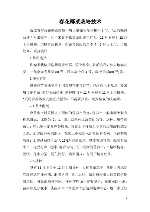 春花椰菜栽培技术