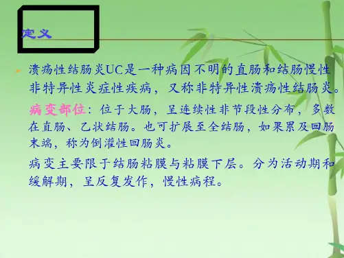 溃疡性结肠炎课件(共57张PPT)