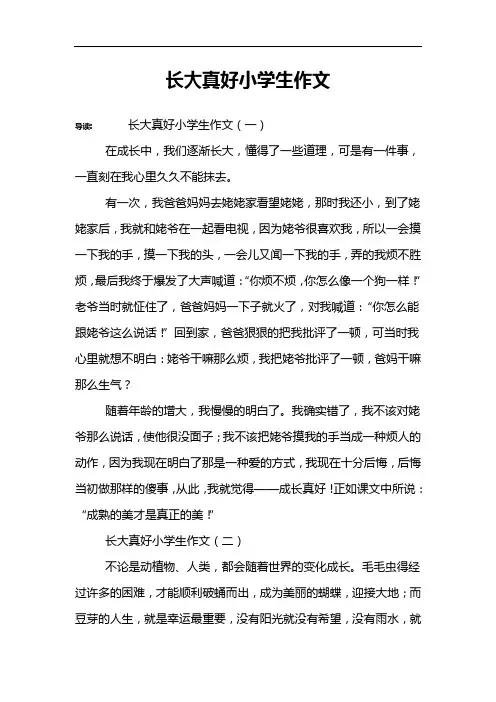 长大真好小学生作文