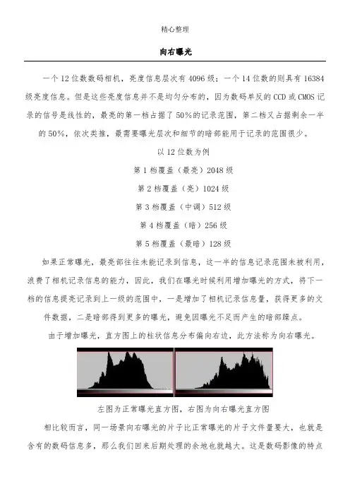 尼康D90使用总结及样片说明