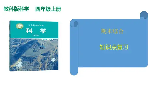 教科版(2017秋)四年级科学上册期末综合复习(课件32张ppt)