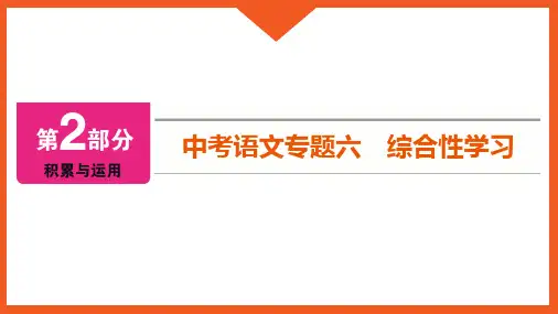 中考语文专题六 综合性学习