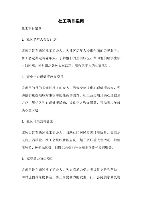 社工项目案例
