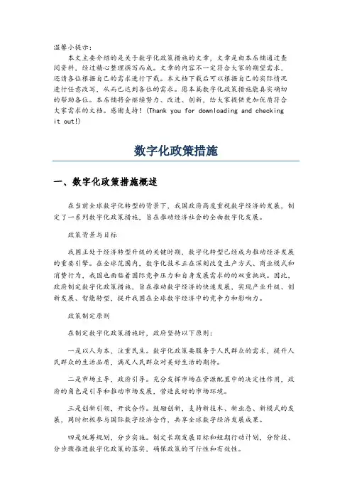 数字化政策措施