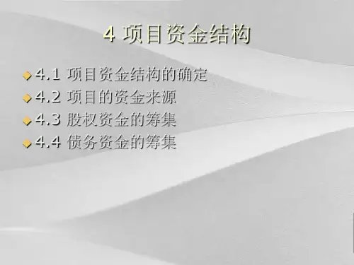 项目策划资金结构与资金来源