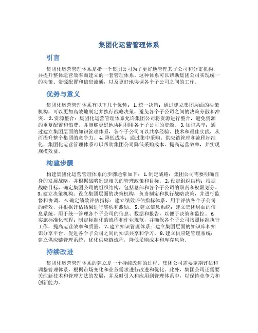 集团化运营管理体系