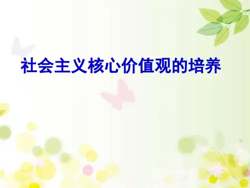 专题讲座—社会主义核心价值观 PPT