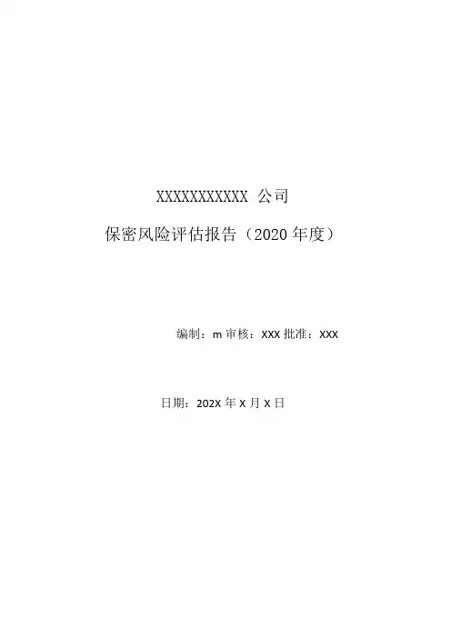 保密风险评估报告