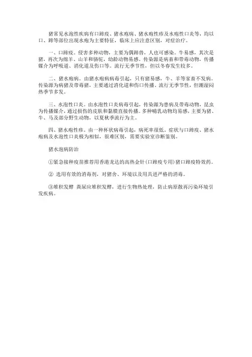 猪出水泡怎么治疗