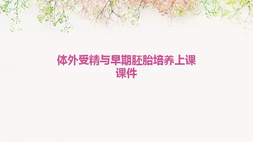 体外受精与早期胚胎培养上课课件