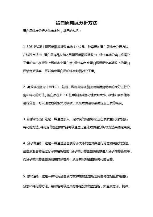 蛋白质纯度分析方法
