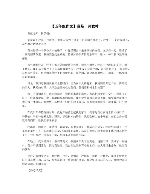 【五年级作文】我是一片秋叶