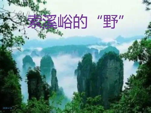 六上语文精品课件4.《索溪峪的野》课件 (1)