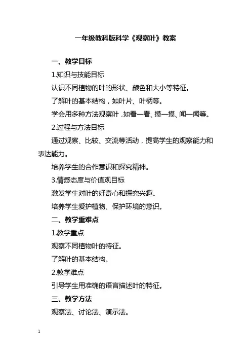 一年级教科版科学《观察叶》教案