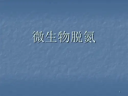 微生物脱氮原理ppt课件