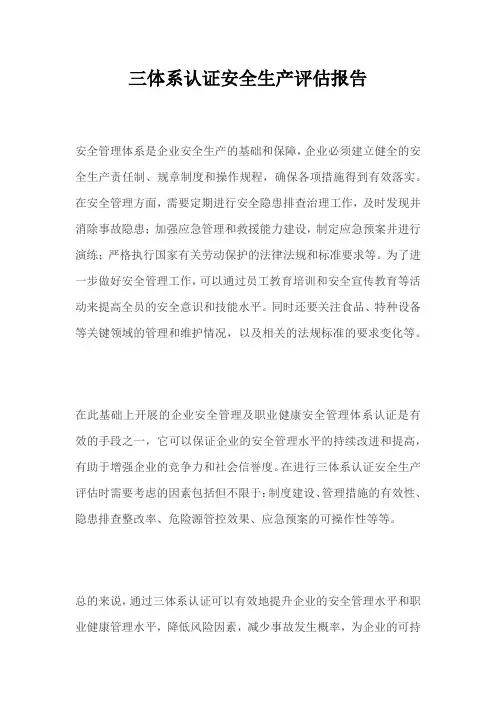 三体系认证安全生产评估报告