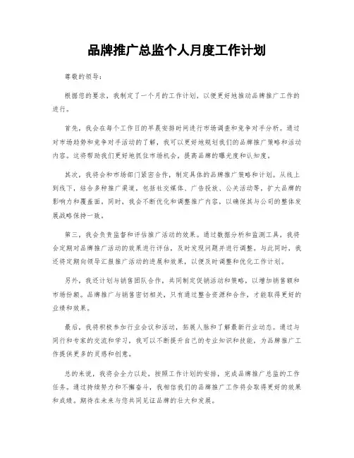 品牌推广总监个人月度工作计划