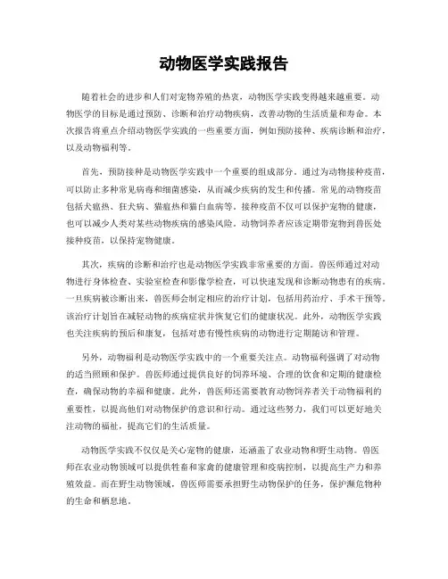 动物医学实践报告