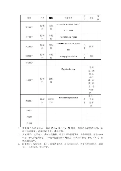 棕榈科详细资料