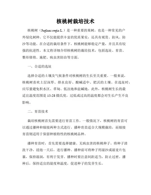 核桃树栽培技术