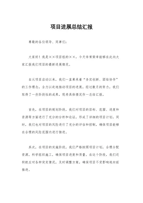 项目进展总结汇报