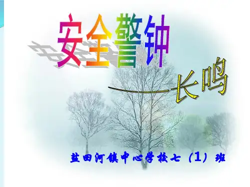 初中生安全教育主题班会课件