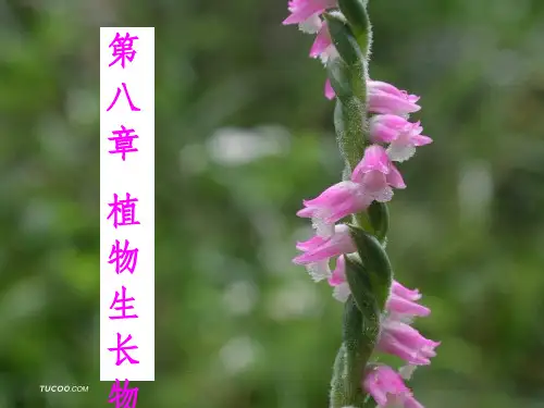植物生长物质ppt课件