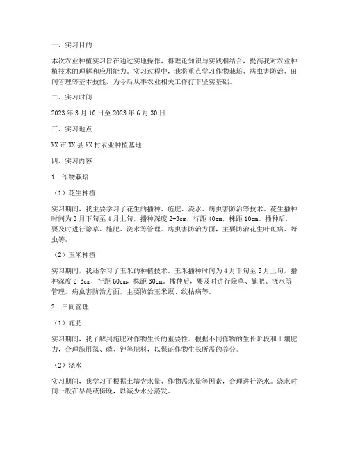 农业种植实习报告