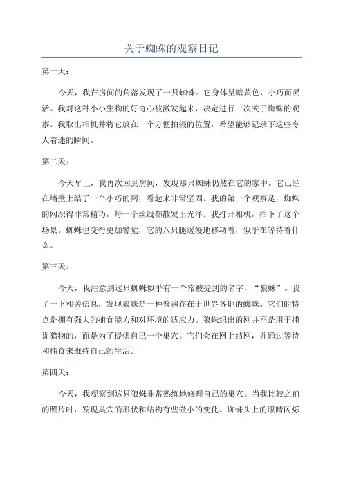 关于蜘蛛的观察日记